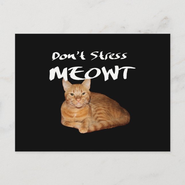 Carte Postale Ne me stressez pas - Le chat orange me stresse (Devant)