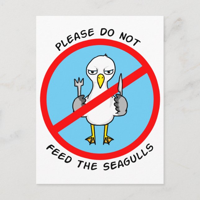 Carte Postale Ne pas nourrir les mouettes (Devant)