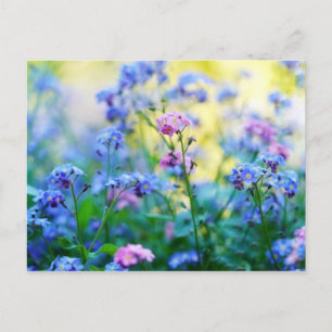 Carte Postale Ne pas oublier les fleurs