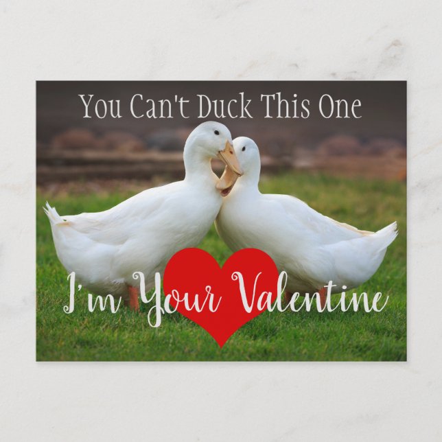Carte Postale Ne peut pas canard Valentine (Devant)