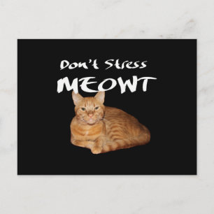 Carte Postale Ne stress pas Meowt - Orange Chat me stress Out