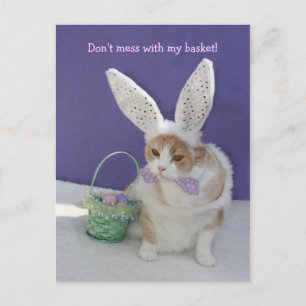 Carte Postale Ne vous mêlez pas de mon panier !