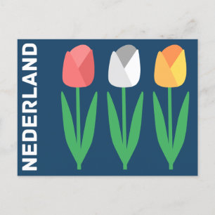 Carte Postale Nederland (Pays-Bas)