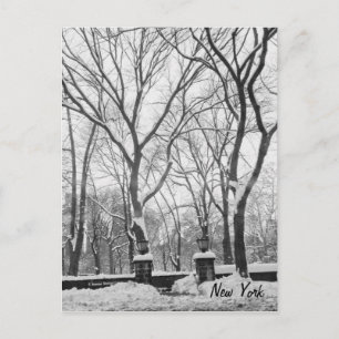 Carte Postale Neige à New York
