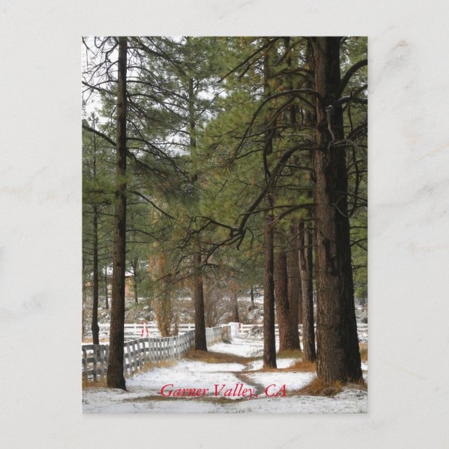 Carte postale Neige à Noël (Devant)