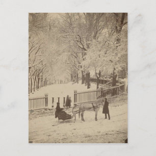 Carte Postale Neige de Boston Common