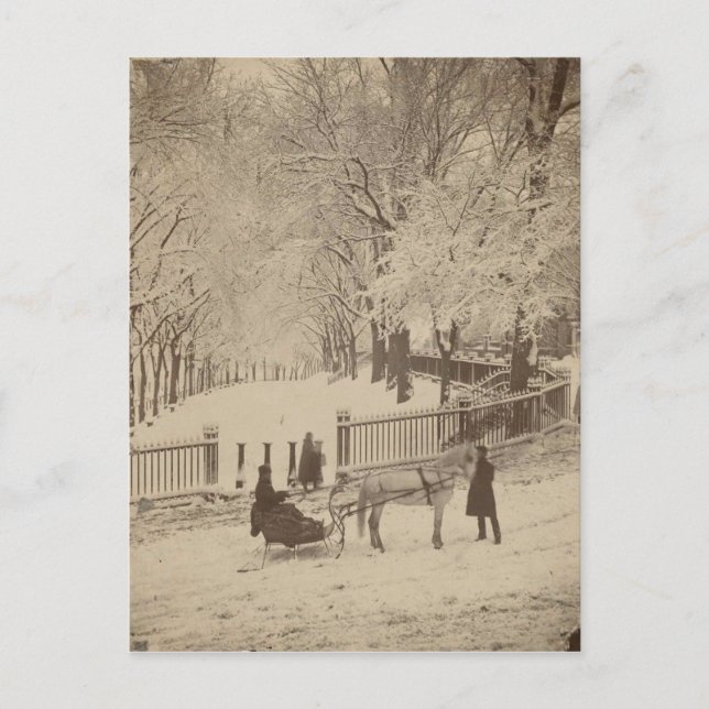 Carte Postale Neige de Boston Common (Devant)