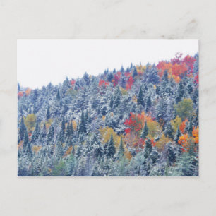 Carte Postale Neige en automne