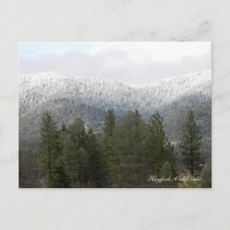 Carte Postale Neige Fraîche en Poudre....