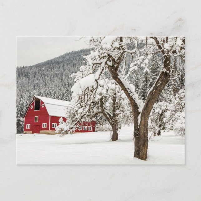 Carte Postale Neige fraîche sur la grange rouge (Devant)