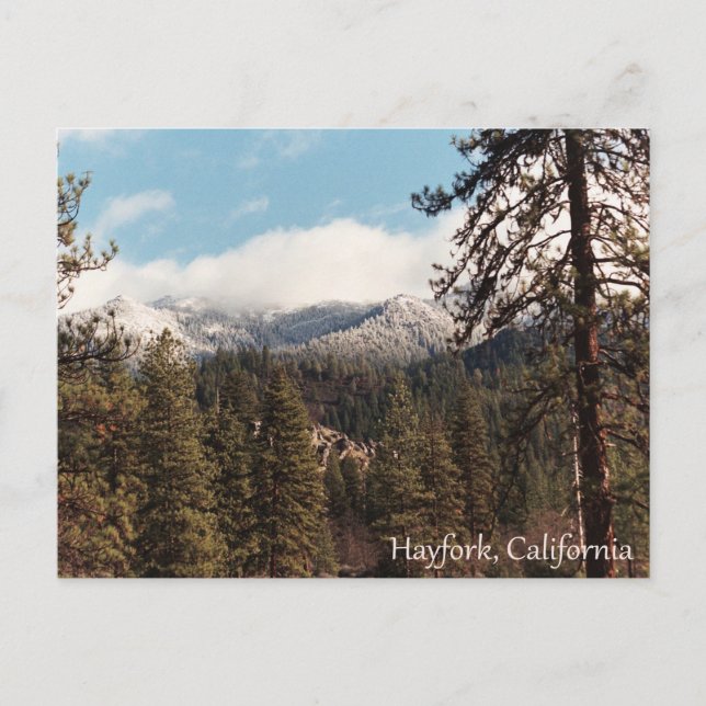 Carte Postale Neige fraîche sur Yolla Bollies... (Devant)