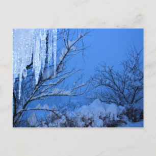 Carte Postale Neige - hiver