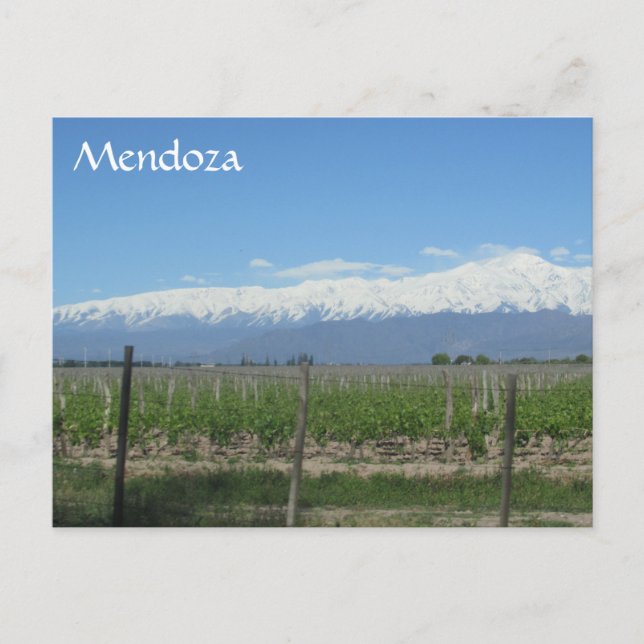 Carte Postale neige mendoza andes (Devant)