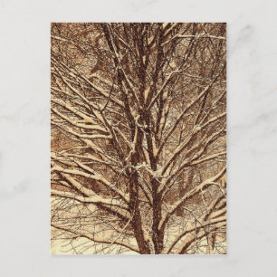 Carte Postale Neige sépia