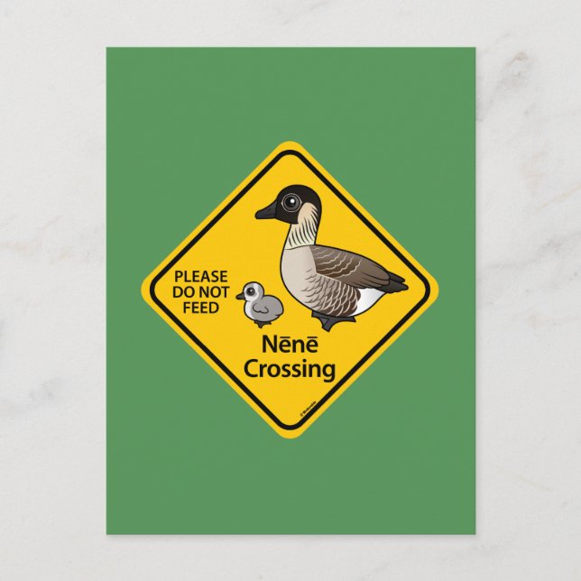Carte Postale Nene Crossing (Devant)
