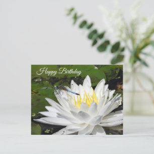 Carte Postale Nénuphar Blanc, Anniversaire de la Libellule Bleue