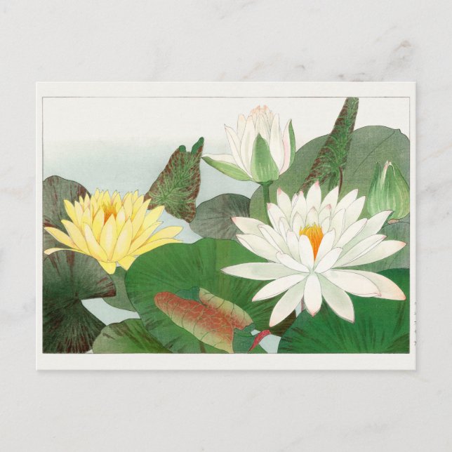 Carte Postale Nénuphar par Tanigami Konan (Devant)