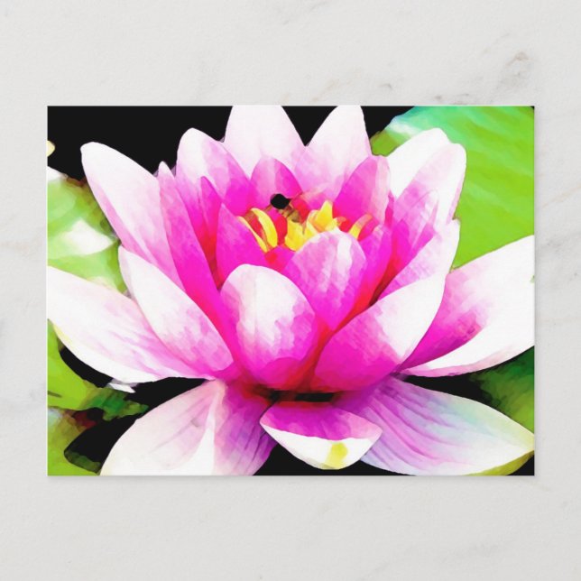 Carte Postale Nénuphar rose (Devant)