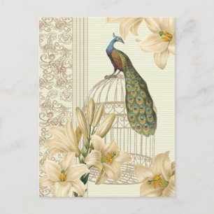 Carte Postale nénuphar vintage paon