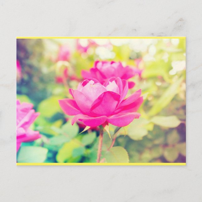 Carte Postale Neon Garden Dreams (Devant)