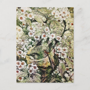 CARTE POSTALE NEST D'OISEAU, ARBRE AVEC FLEURS BROWN DE PRINTEMP