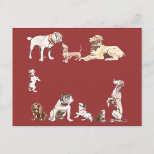 Carte Postale Neuf Chiens