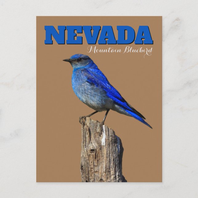 Carte Postale Nevada Bluebird vertical (Devant)