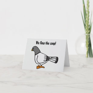 Carte postale New Address Pigeon Gris