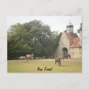 Carte Postale New Forest Hampshire