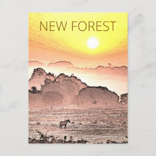 Carte Postale New Forest Pony à Sunrise