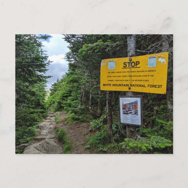 Carte postale New Hampshire White Mountains (Devant)