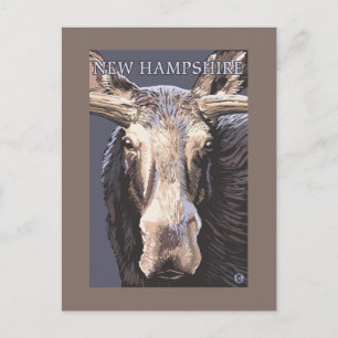 Carte Postale New HampshireMoose près