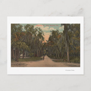 Carte Postale New Smyrna, Floride - Vue sur Magnolia