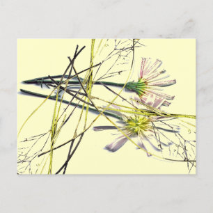 CARTE POSTALE NEW VINTAGE