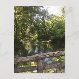Carte Postale New York City NYC Central Park Trees Water Photo