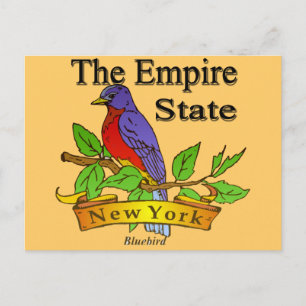 Carte Postale New York L'Empire State Bird