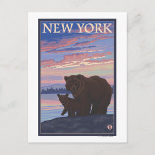 Carte Postale New YorkBear et Cub