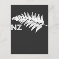 New Zealand Tree Fern Plant