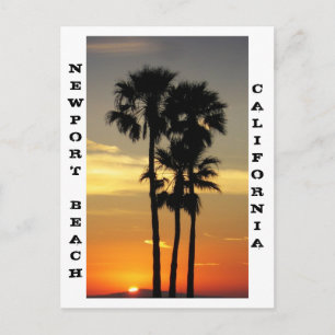 Carte postale Newport Beach