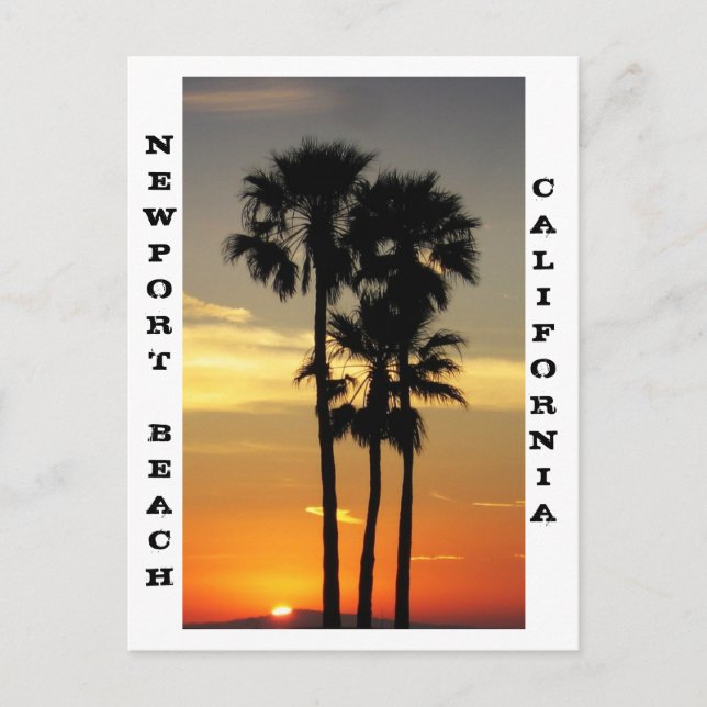 Carte postale Newport Beach (Devant)