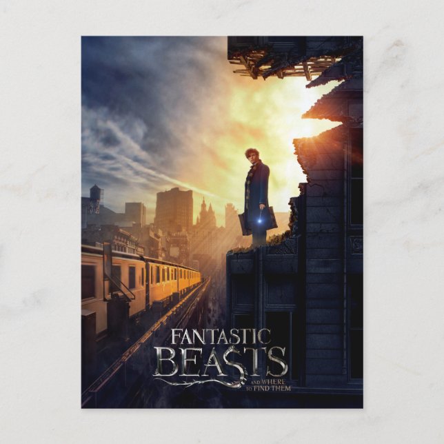 Carte Postale NEWT SCAMANDER™ dans un bâtiment détruit (Devant)