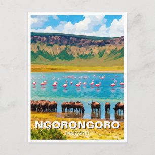 Carte Postale Ngorongoro Tanzanie Flamant rose sauvage