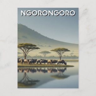Carte Postale Ngorongoro Tanzanie Gnous