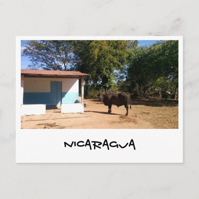 Carte Postale Nicaragua (Devant)