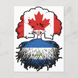 Carte Postale Nicaragua Origines de l'arbre canadien nicaraguaye
