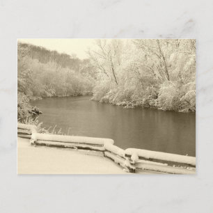 Carte Postale Nichols Arboretum