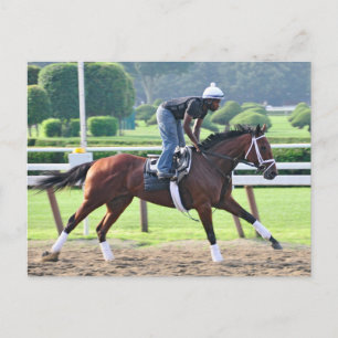 Carte Postale Nick Bush et Todd Pletcher