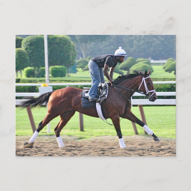 Carte Postale Nick Bush et Todd Pletcher (Devant)