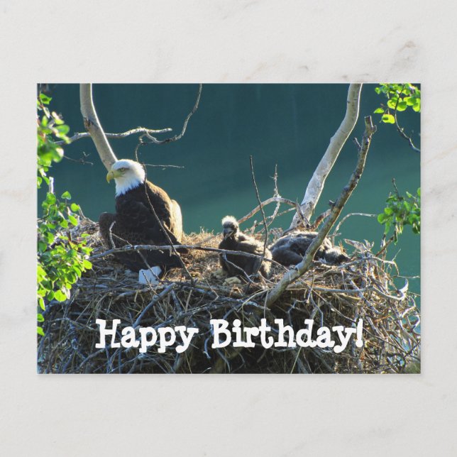 Carte Postale Nid d'aigle ; Joyeux anniversaire (Devant)
