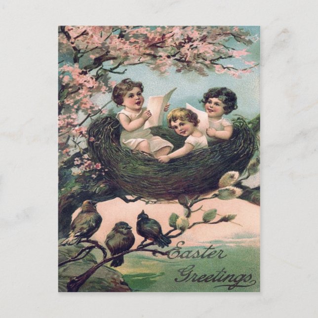Carte Postale Nid d'oiseau mignon (Devant)